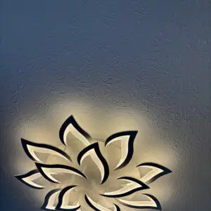 Ceiling Lights Installation in Moraine